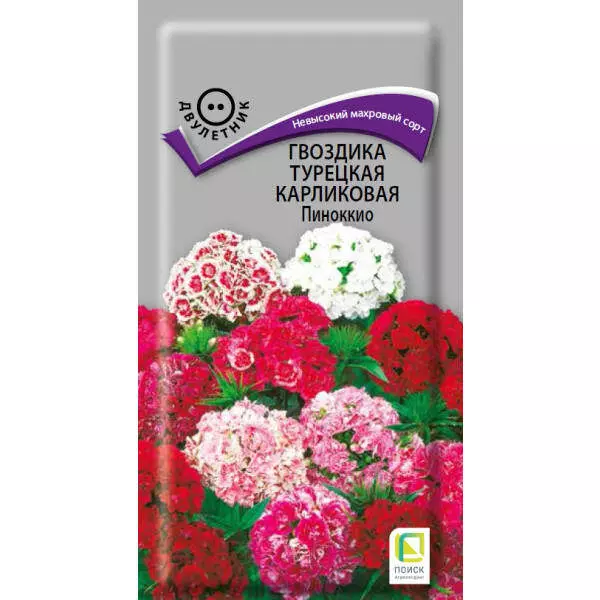 Семена цветов Гвоздика турецкая Пиннокио,смесь карликовая 0,3гр(Поиск) цв
