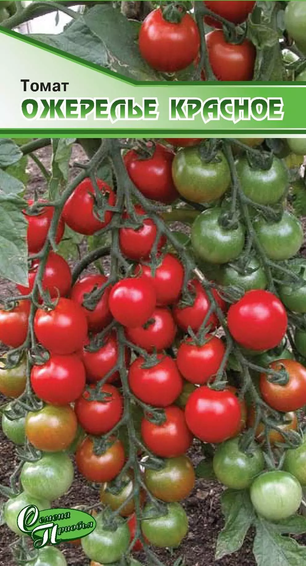 Семена Томат Ожерелье красное (черри). Семена Приобья ф.п.15 шт