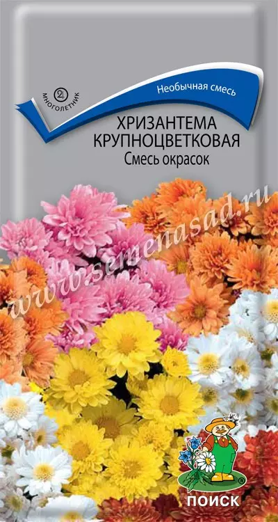 Семена цветов Хризантема крупноцветковая,Смесь окрасок. ПОИСК Ц/П 0.05 г