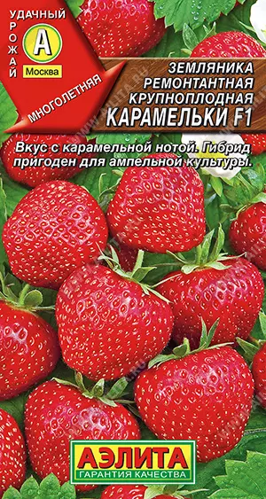 Семена Земляника ремонтантная крупноплодная Карамельки F1 АЭЛИТА Ц/П 10шт