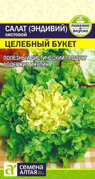 Семена Зелень Салат Эндивий Целебный Букет/Сем Алт/цп 0,5 гр.
