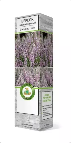 Саженец Вереск обыкновенный Сильвер Найт в тубе, Поиск