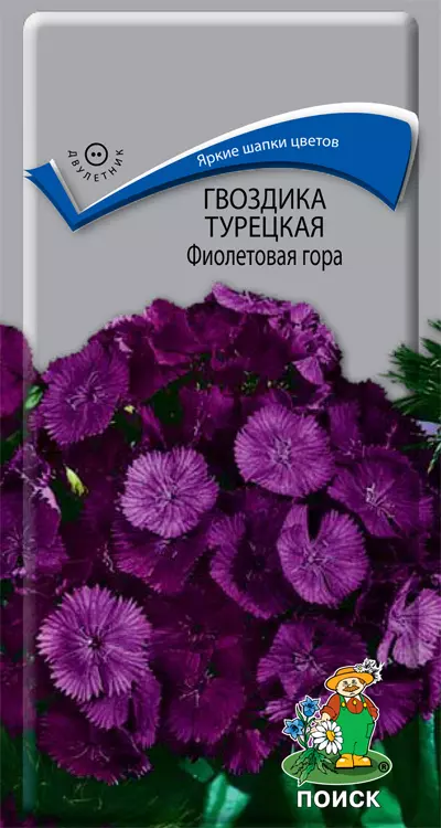 Семена цветов Гвоздика турецкая Фиолетовая гора 0,25гр( Поиск) цв.