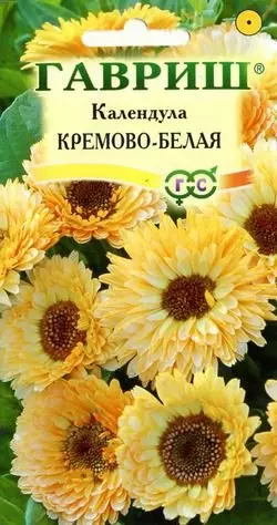 Семена цветов Календула Кремово-Белая ф.п.0,3г Гавриш