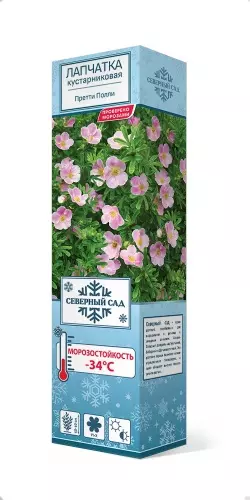 Саженец Лапчатка кустарниковая Претти Полли (в тубе), Поиск