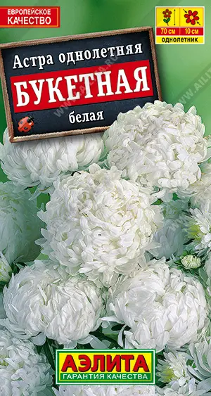 Семена цветов Астра Букетная белая. АЭЛИТА Ц/П 0,2 г