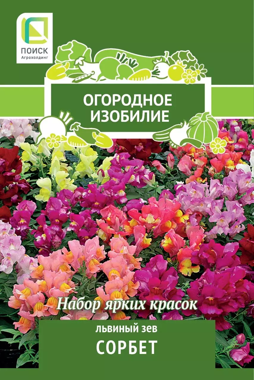 Семена цветов Львиной зев Сорбет (Огородное изобилие) (1) 0,3гр ПОИСК