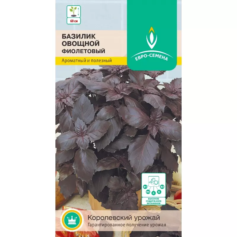 Семена Базилик овощной Фиолетовый. ЕВРО-СЕМЕНА Ц/П 0.3 г