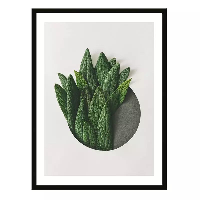 Постер 30х40 Растения (Шалфей макро)