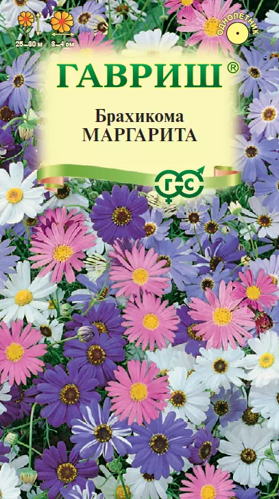 Семена цветов Брахикома ИберисоЛистная Маргарита 0.02 гр(Гавриш) цв