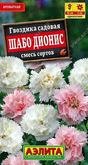 Семена цветов Гвоздика садовая Шабо Дионис, смесь сортов. АЭЛИТА Ц/П 0,05 г
