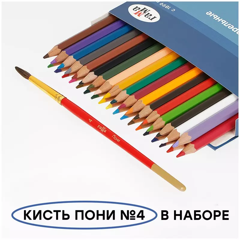 Акварельные карандаши 36 цветов+ кисть, грифель 2,9 мм Гамма "Лицей"