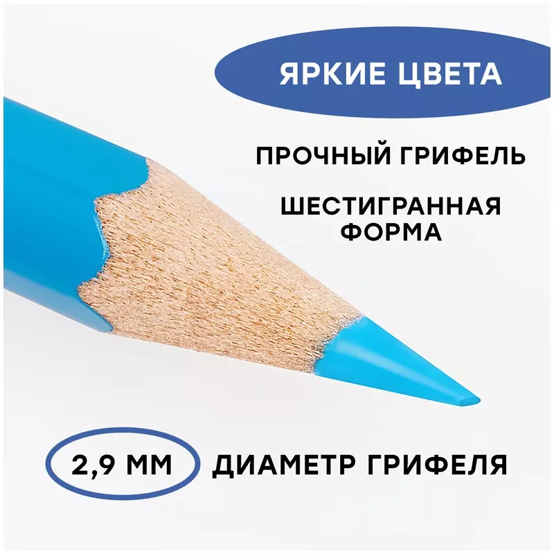 Акварельные карандаши 36 цветов+ кисть, грифель 2,9 мм Гамма "Лицей"