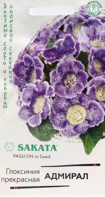 Семена цветов (комнатные) Глоксиния Адмирал ГАВРИШ 4 шт ц/п