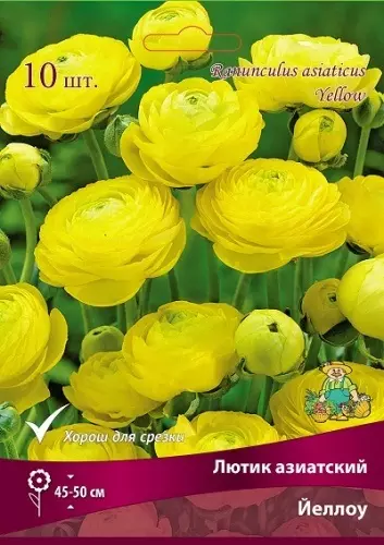 Клубни цветов Лютик азиатский Йеллоу 7/8, 10 шт