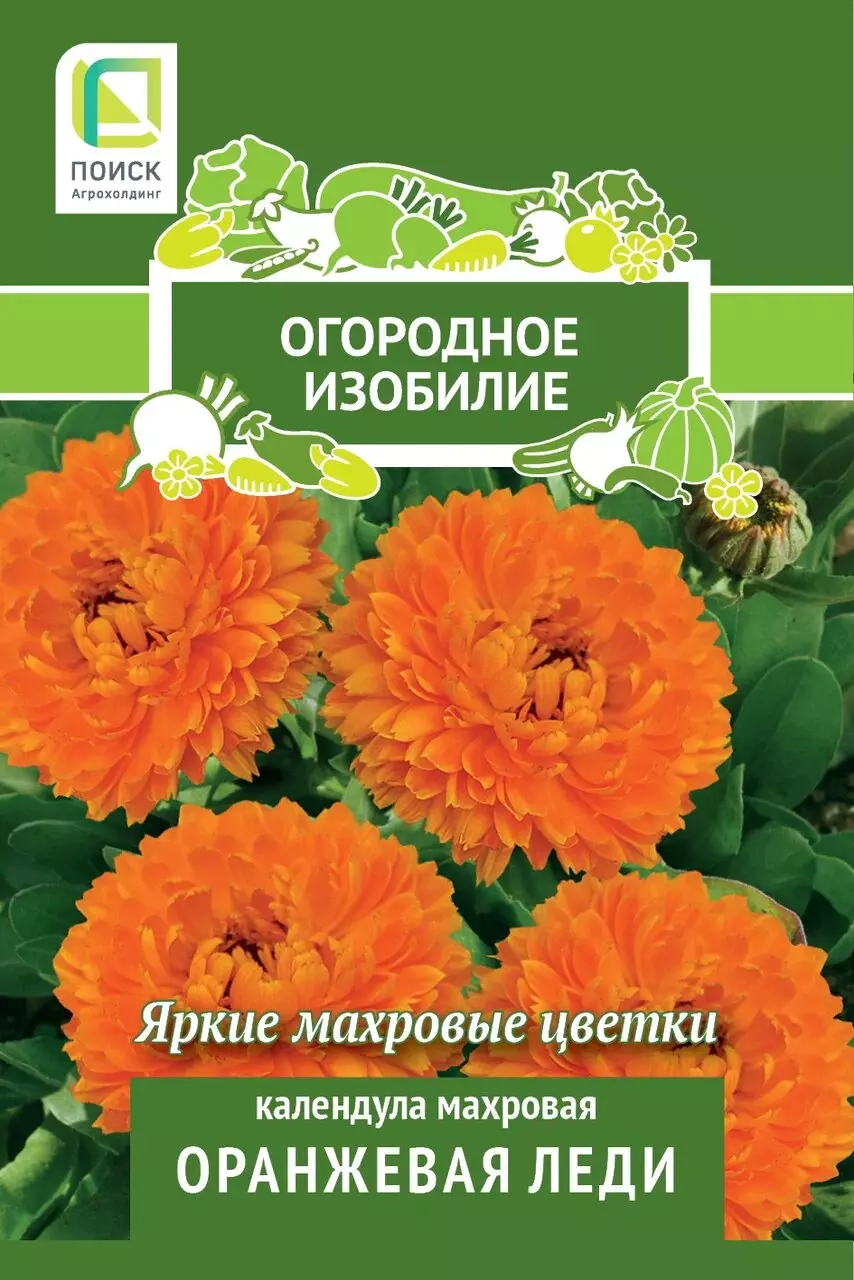 Семена цветов Календула Оранжевая леди. ПОИСК Ц/П ОИ 1 г