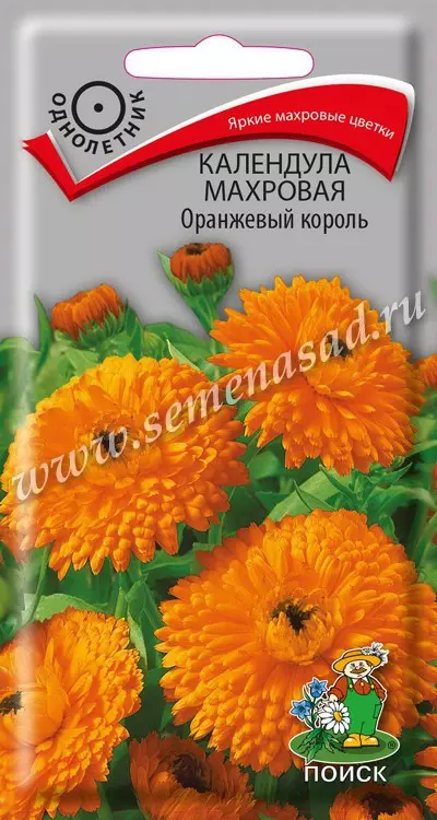 Семена цветов Календула махровая Оранжевый король. ПОИСК Ц/П 1 г