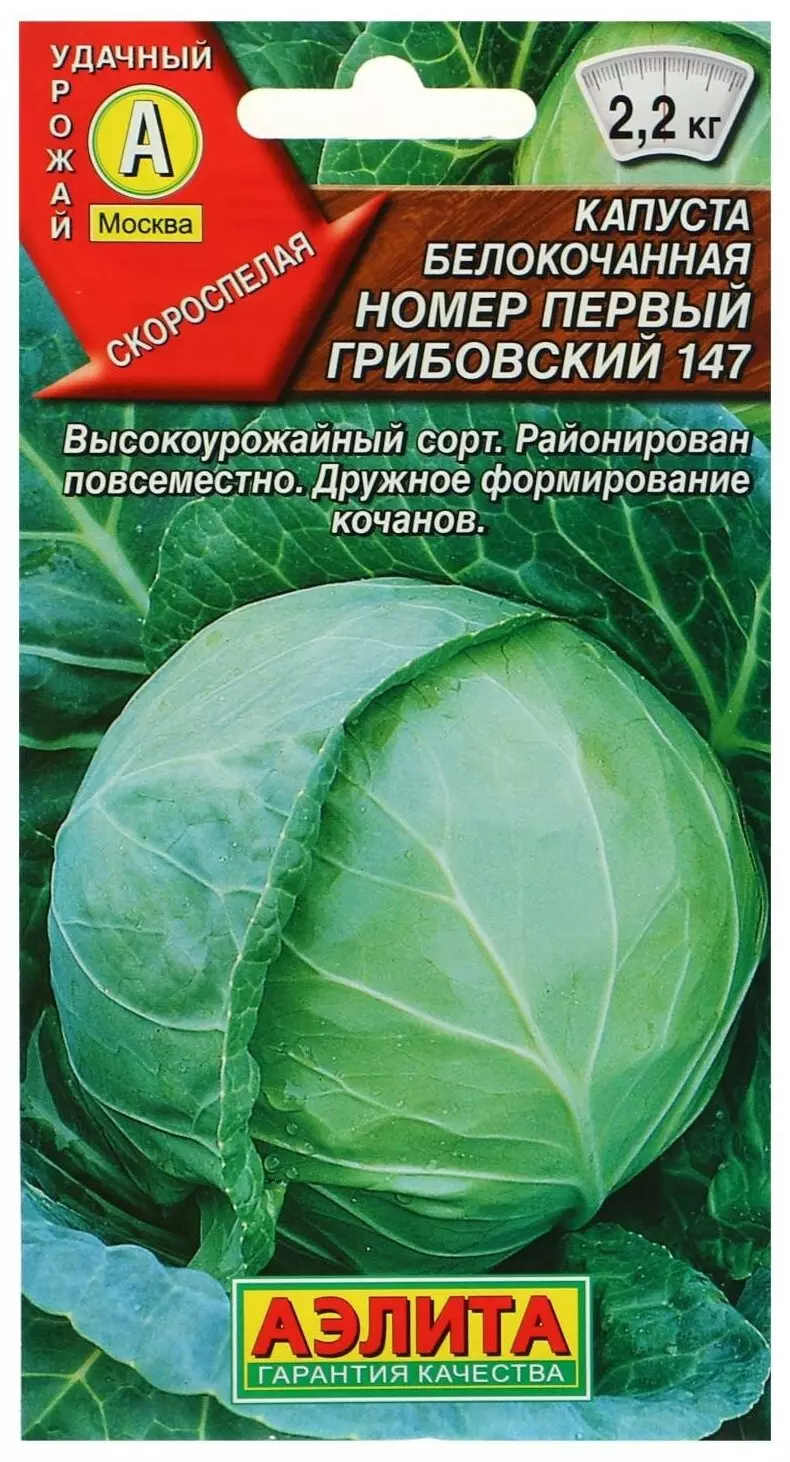 Семена Капуста белокочанная Номер первый Грибовский 147/Сем Алт/цп 0,5 гр.