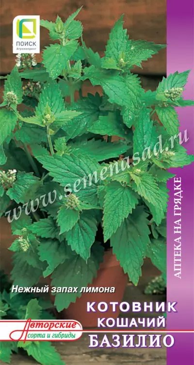 Семена Котовник кошачий Базилио ПОИСК 0,25 г ц/п
