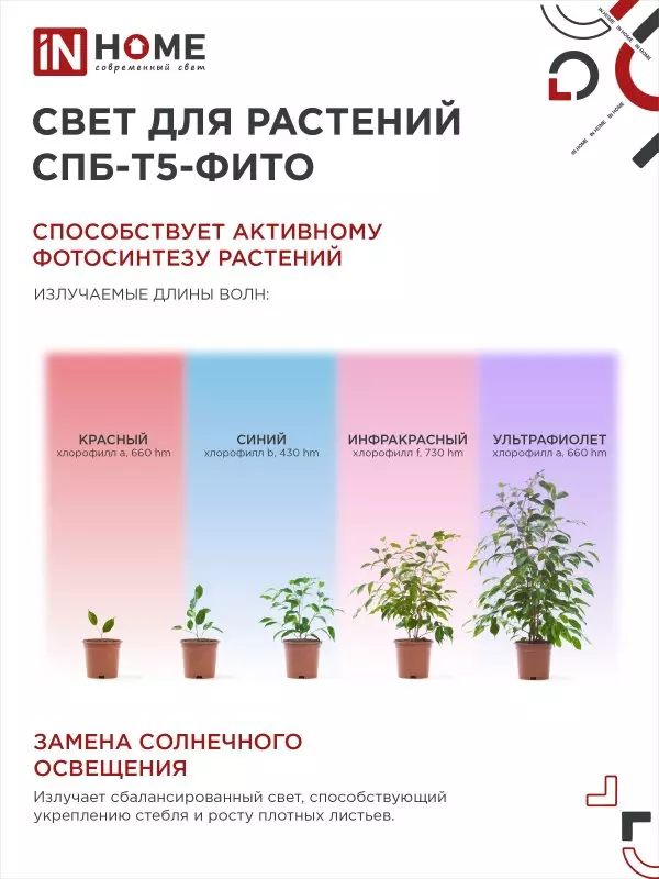 Cветильник для растений 10Вт 570мм красно-синий спектр IN HOME 4690612033099