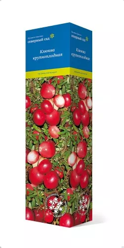 Саженец Клюква крупноплодная Франклин, средний, в тубе, Поиск