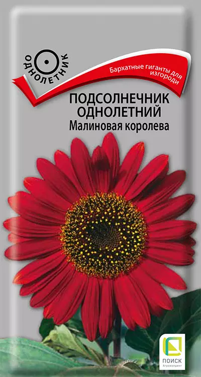 Семена цветов Подсолнечник Малиновая королева. ПОИСК Ц/П 0.5 г