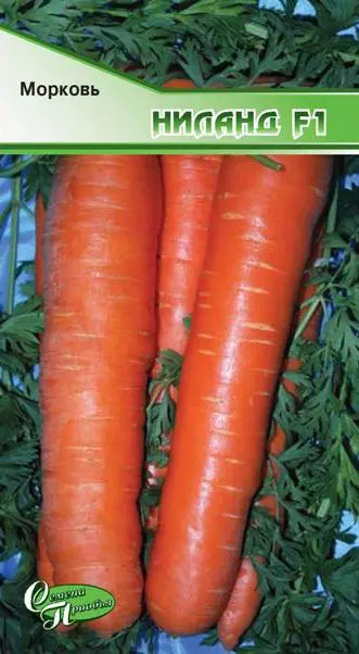 Семена Морковь Ниланд F1. Семена Приобья ф.п.1 г