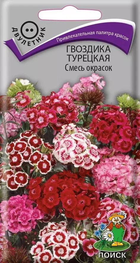 Семена цветов Гвоздика турецкаясмесьокрасок0.25гр(Поиск)цв