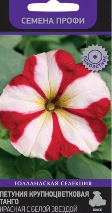Семена цветов Петуния Танго F1 Красная с белой звездой, ПОИСК 5 шт ц/п