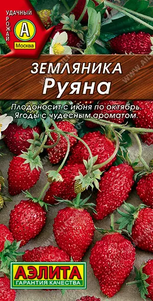 Семена Земляника Руяна альпийская. АЭЛИТА Ц/П 0,04 г