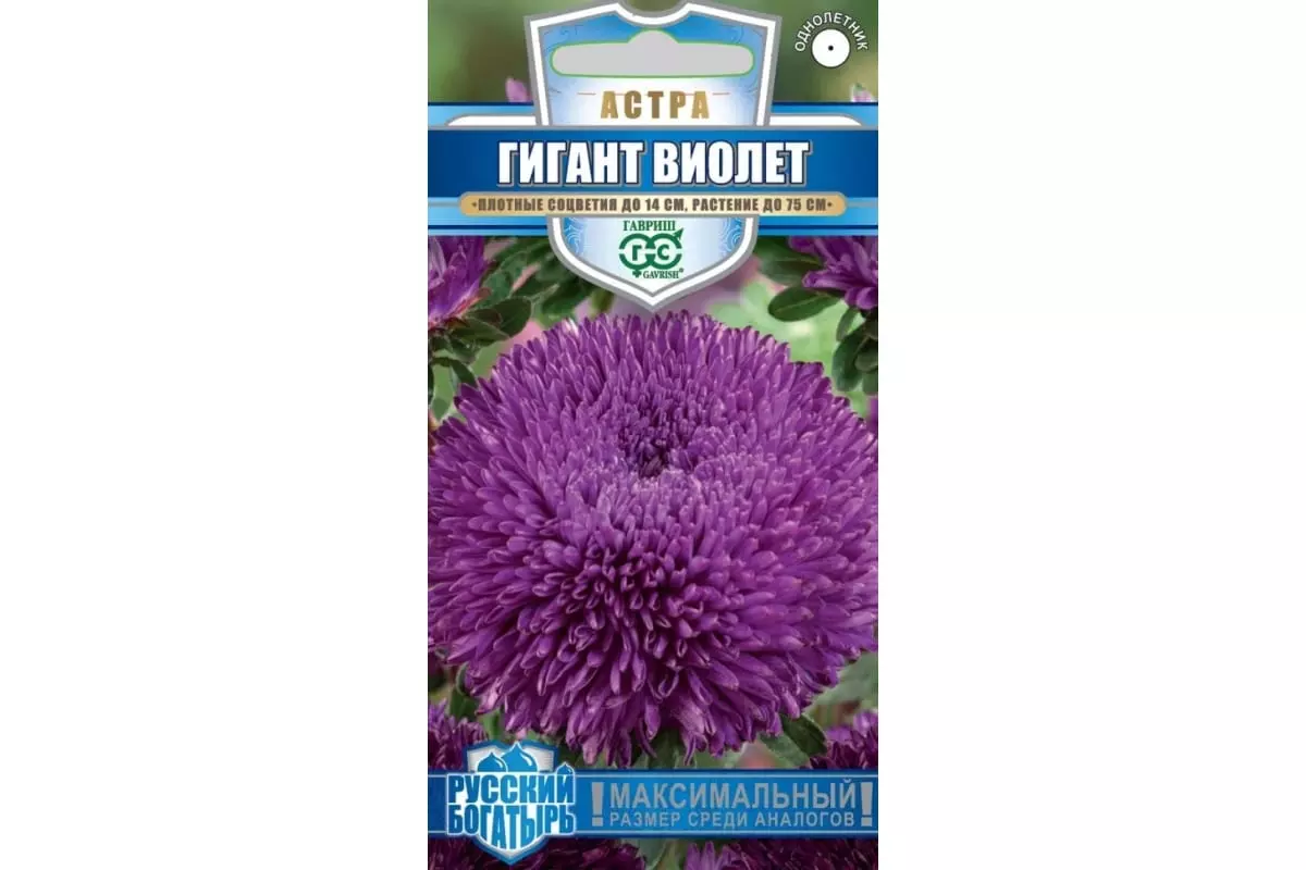 Семена цветов Астра Гигант Виолетт 0.05 гр (Гавриш)