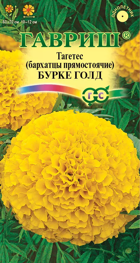 Семена цветов Бархатцы Бурке Гольд прямост. 0.3гр(Гавриш) цв