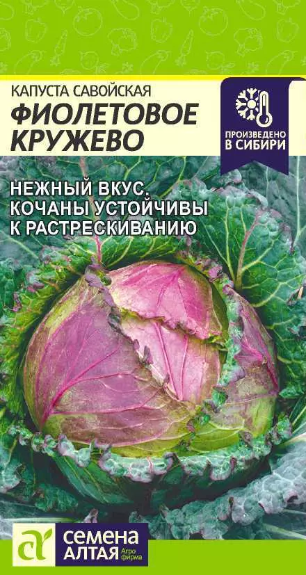 Семена Капуста Савойская Фиолетовое Кружево/Сем Алт/цп 0,3 гр.
