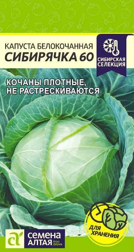 Семена Капуста Сибирская Пирамида/Сем Алт/цп 0,5 гр.
