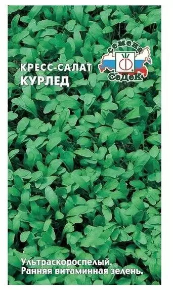 Семена Кресс-салат Курлед (СеДеК) цв