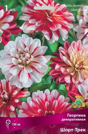 Клубни цветов Георгина декоративная Шорт-Трек (I; 1 шт)