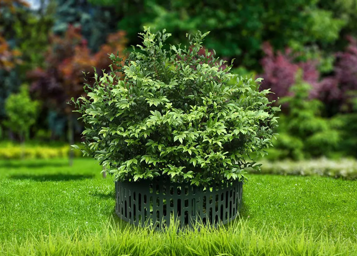 Защита кустов и деревьев, зеленый 4 шт 35см*21 см