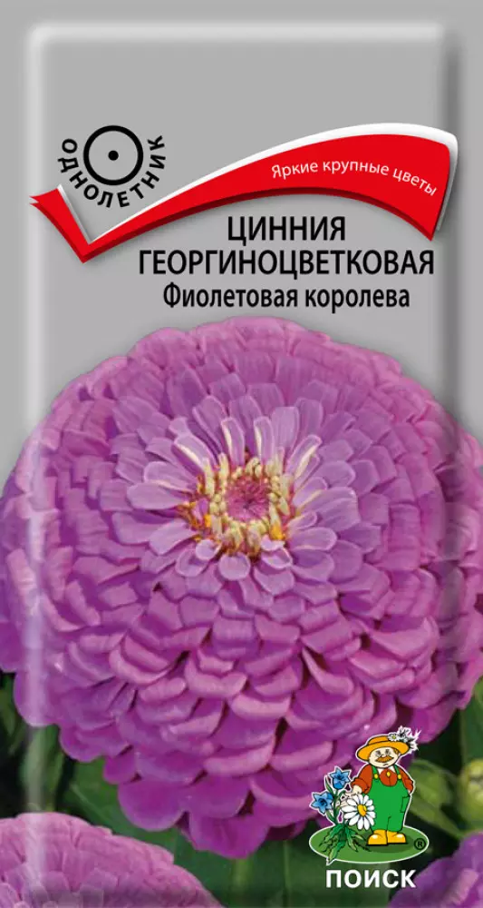 Семена цветов Цинния Фиолетовая королева 0.4гр(Поиск) цв