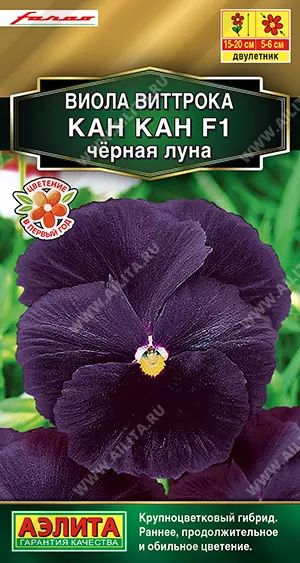 Семена цветов Виола Виттрока Кан Кан F1 черная луна. АЭЛИТА Ц/П 7 шт