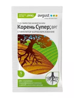 Корень Супер 5г Август