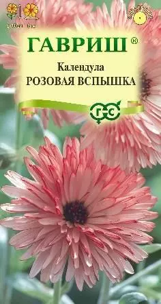 Семена цветов Календула розовая вспышка 0.2 гр (Гавриш)