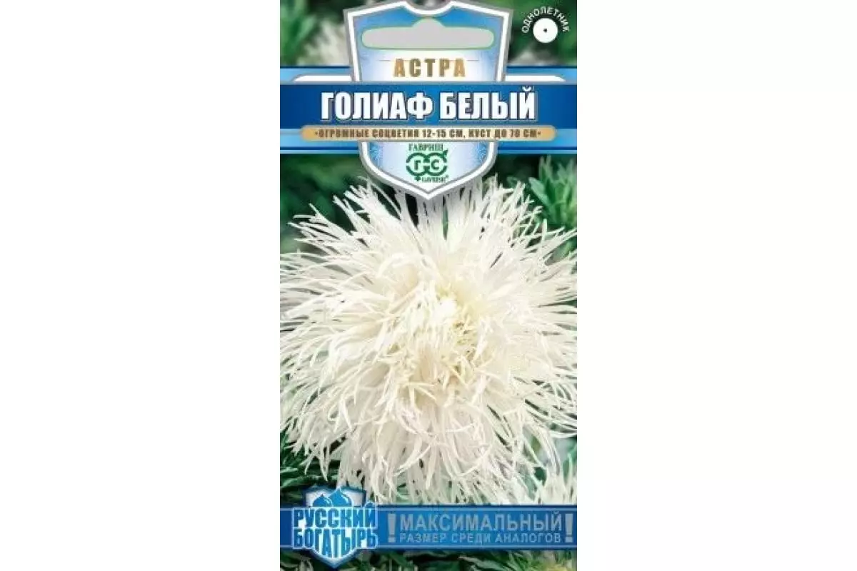 Семена цветов Астра Голиаф белый 0.3гр(Гавриш)