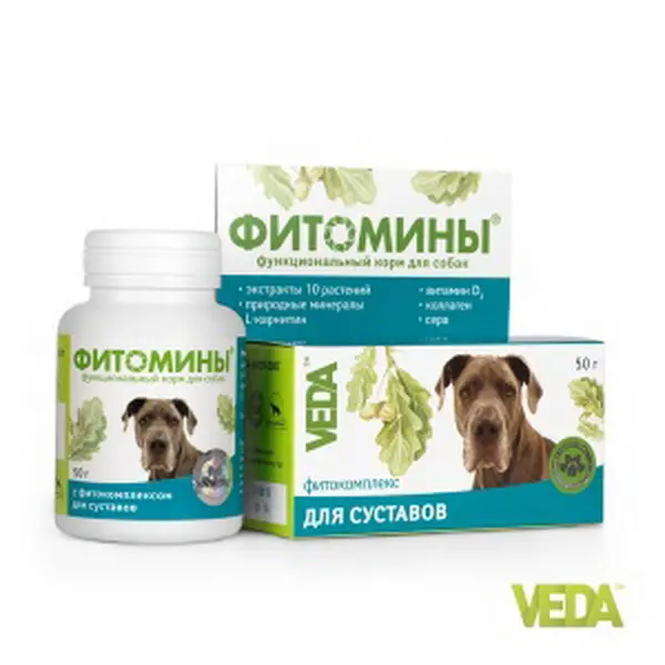 Фитомины для собак для укрепления и восстановления суставов