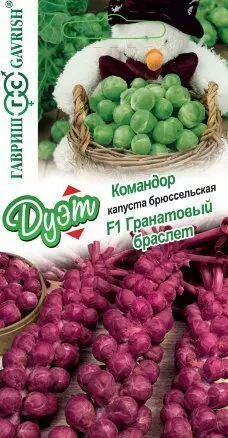 Семена Капуста брюссельская гранатовый браслет F1 0.1 гр + Командор 0.1г(Гавриш)