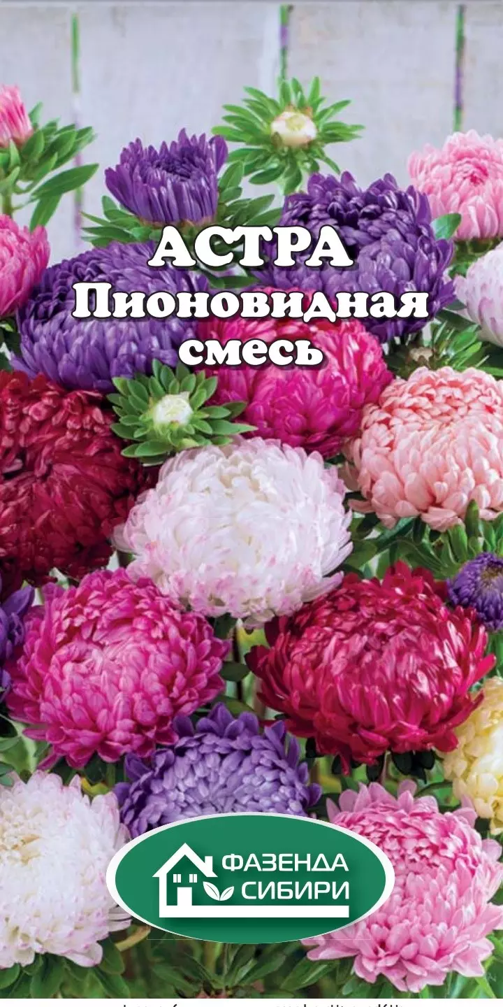 Семена Астра Пионовидная Смесь (0,2г) Фазенда Сибири Ц/П — купить по  выгодной цене в интернет-магазине Колорлон