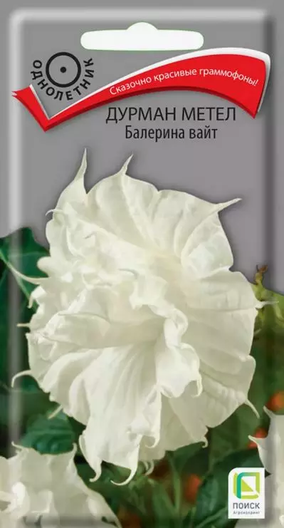 Семена цветов Дурман метел Балерина Вайт, ПОИСК 3 шт ц/п