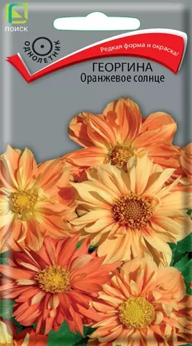 Семена цветов Георгина Оранжевое солнце ПОИСК 10 шт ц/п