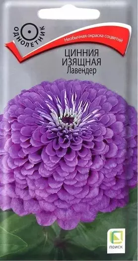 Семена цветов Цинния изящная Лавандер, ПОИСК 0,4 г ц/п