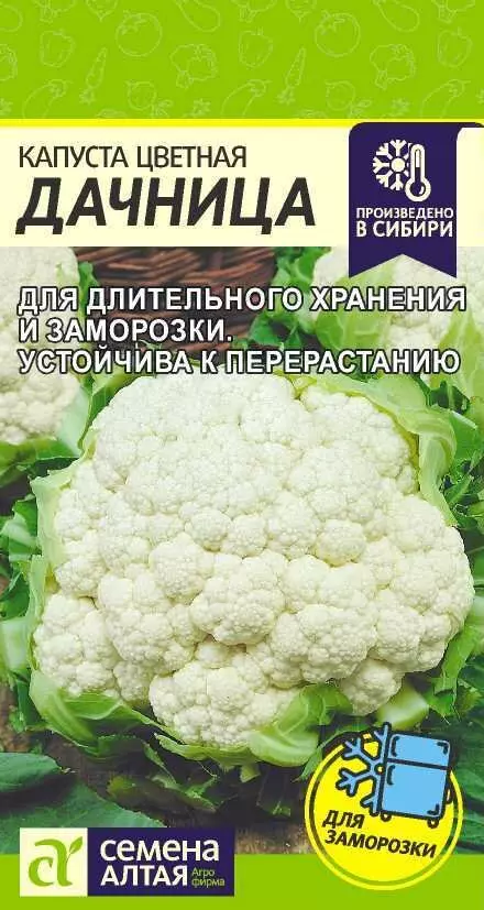 Семена Капуста цветная Дачница/Сем Алт/цп 0,3 гр.
