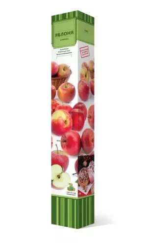 Саженец Яблоня Пепин шафранный зимний в тубе, Поиск